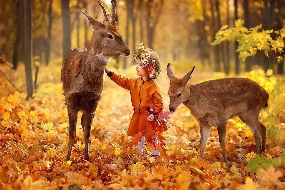 best forest names for the babies
