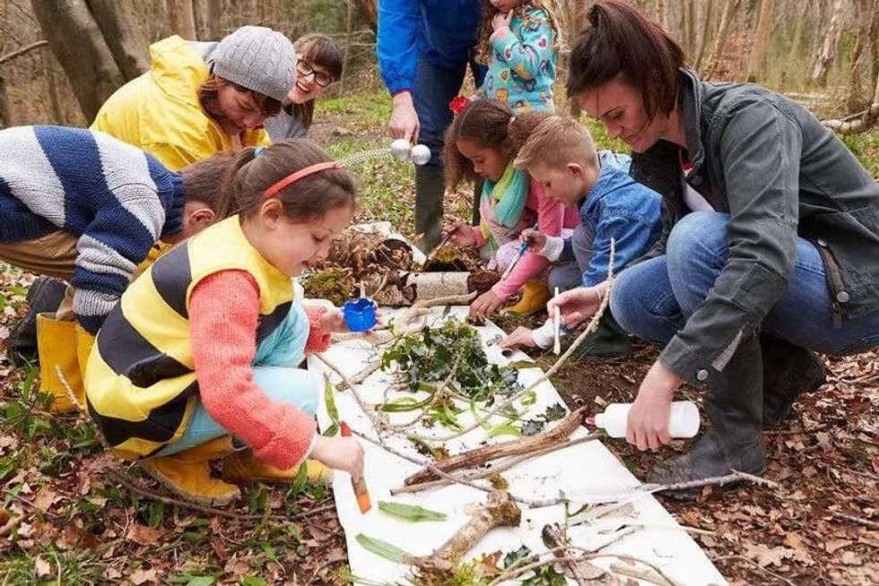 Best forest schools