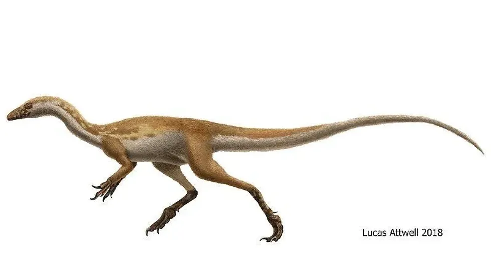 Bicentenaria facts are all about a small dinosaur of the Late Cretaceous period.