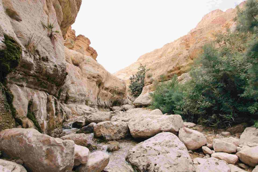 Biking, popular activity in Grand Canyon National Park