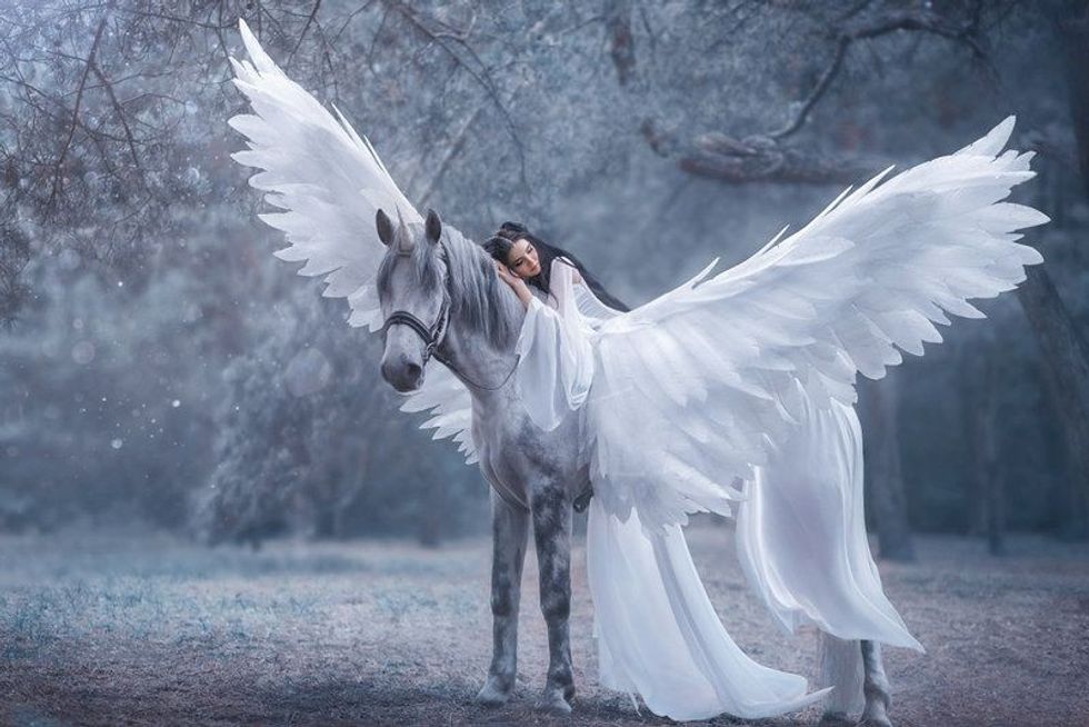 Black and White Unicorn