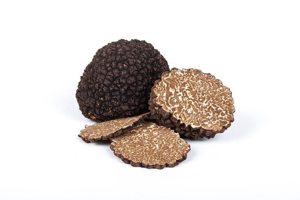 Black summer truffle tuber.