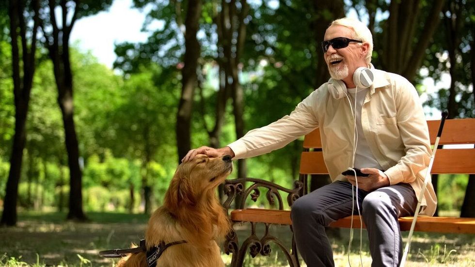Blind man with earphones stroking dog, full life of impaired, enjoying time