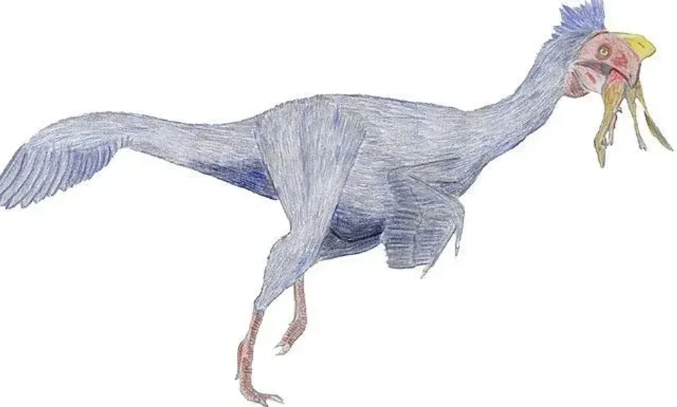 Bonapartenykus facts reveal a lot about this "bird-like" dinosaur.