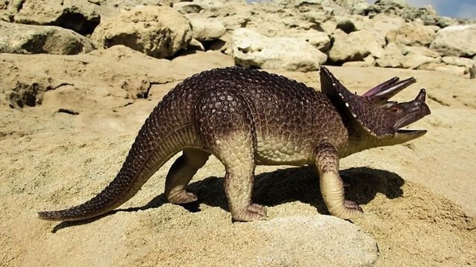 Borealopelta facts provide a unique read.
