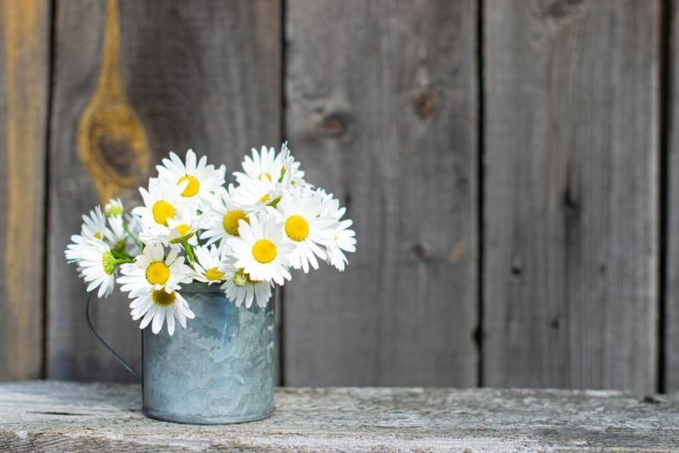 Bouquet of daisies in a metal mug on a wooden table