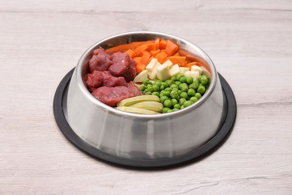 Bowl with organic dog food on light background