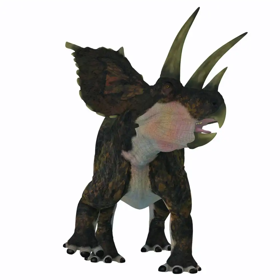 Bravoceratops facts include that when the first species of the Bravoceratops was found in 1887, it was misinterpreted to be a gigantic species of an extinct bison