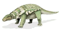Breviceratops facts are interesting to read.