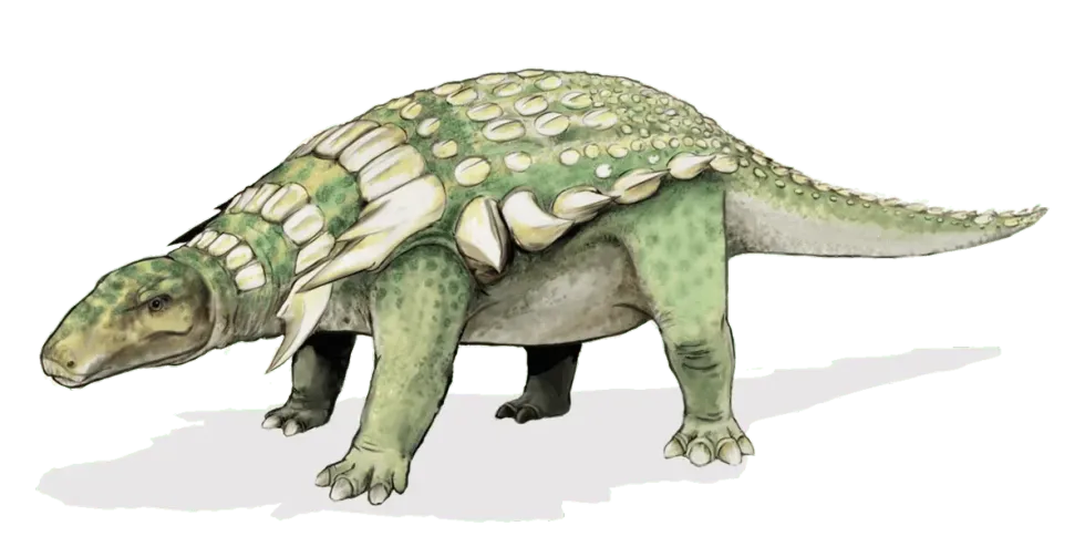 Breviceratops facts are interesting to read.