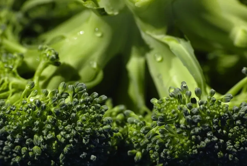 Broccoli nutritional value facts will also help you understand the nutrition in broccoli leaves.