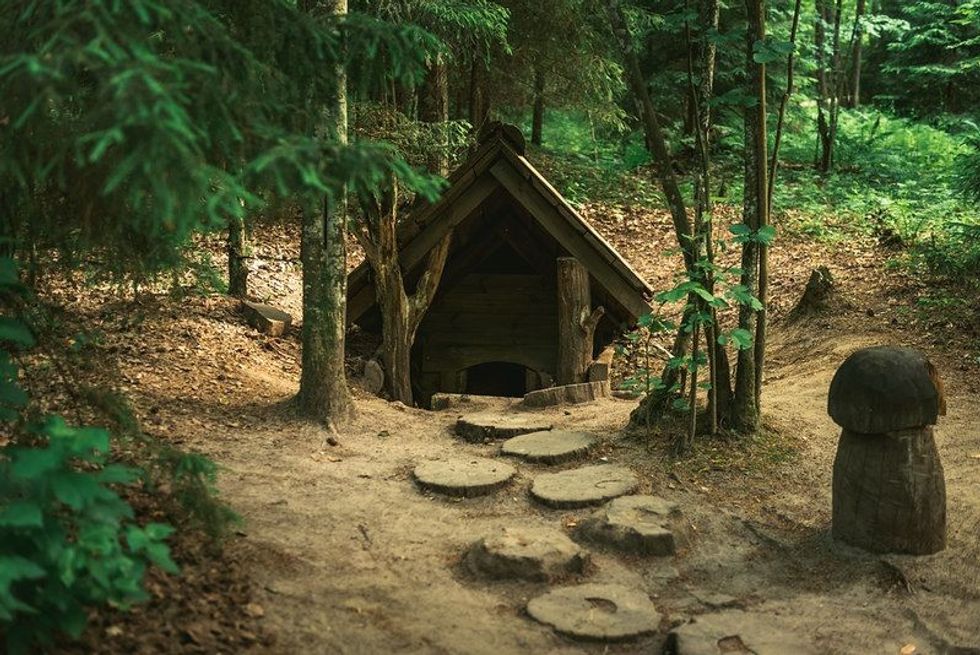 Brown house in forest
