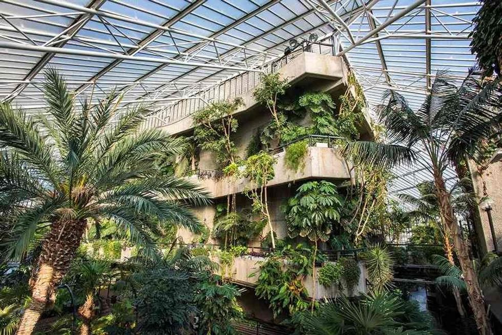Brutalist architecture in the Barbican Conservatory covered in greenery.