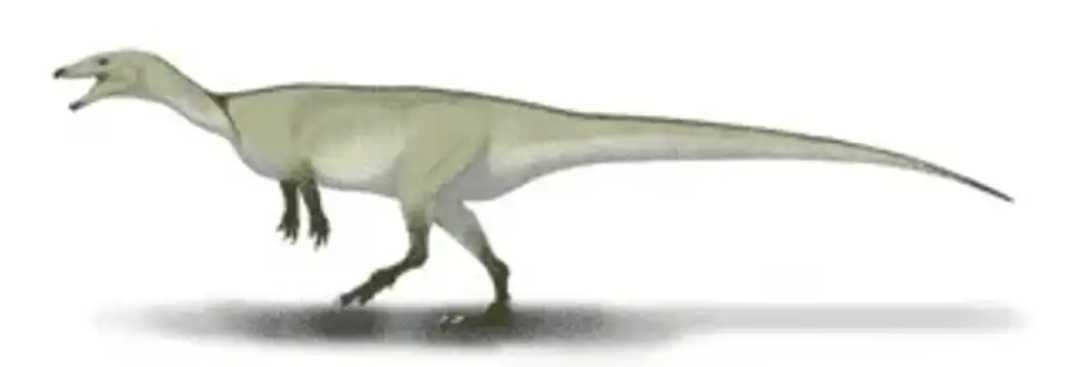 Buriolestes facts tell about the pre-historic earth dwellers.