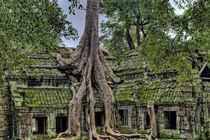 Cambodia rich and unique culture fact