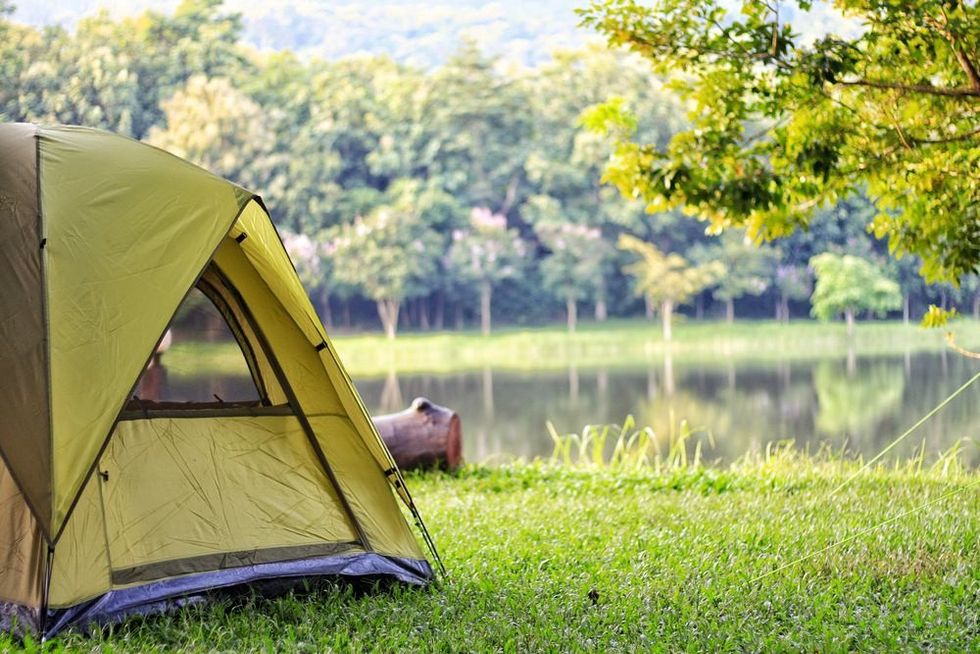 Camping green tent in forest near lake.