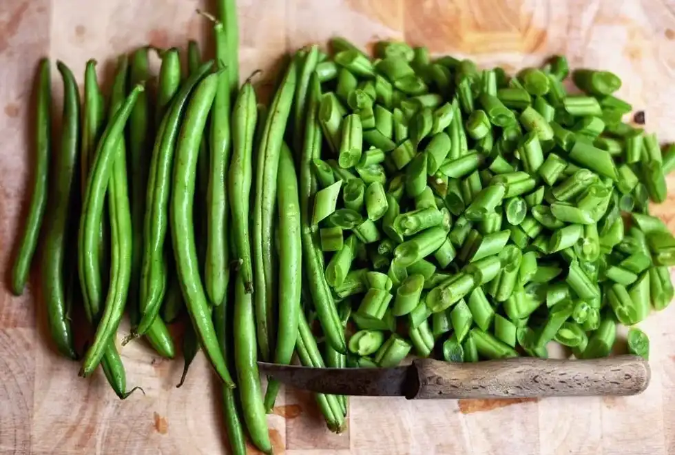 Canned green beans nutrition facts will educate you more about the protein and fiber content of canned green beans.