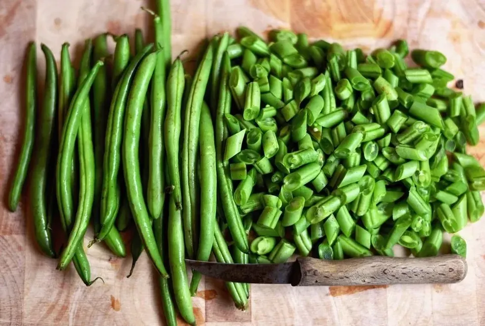 Canned green beans nutrition facts will educate you more about the protein and fiber content of canned green beans.