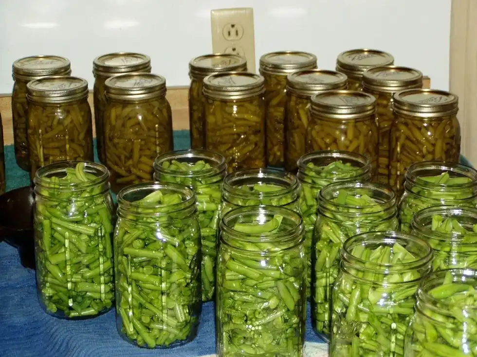Canned vegetable nutrition facts will tell you about their benefits and disadvantages.
