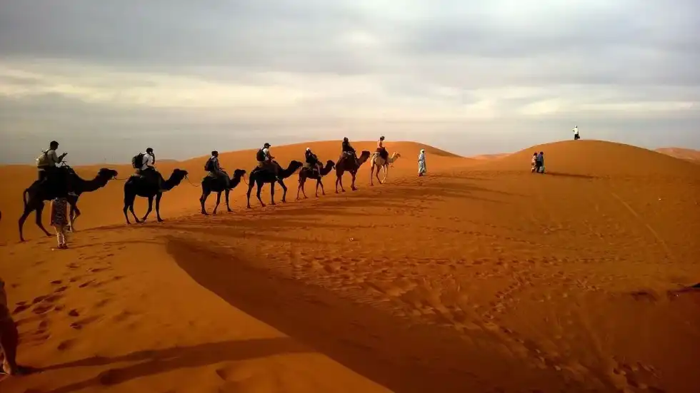 Caravan facts state that they were used by traders and travelers mainly in the Middle East, North Africa, and Central Asia for trade.