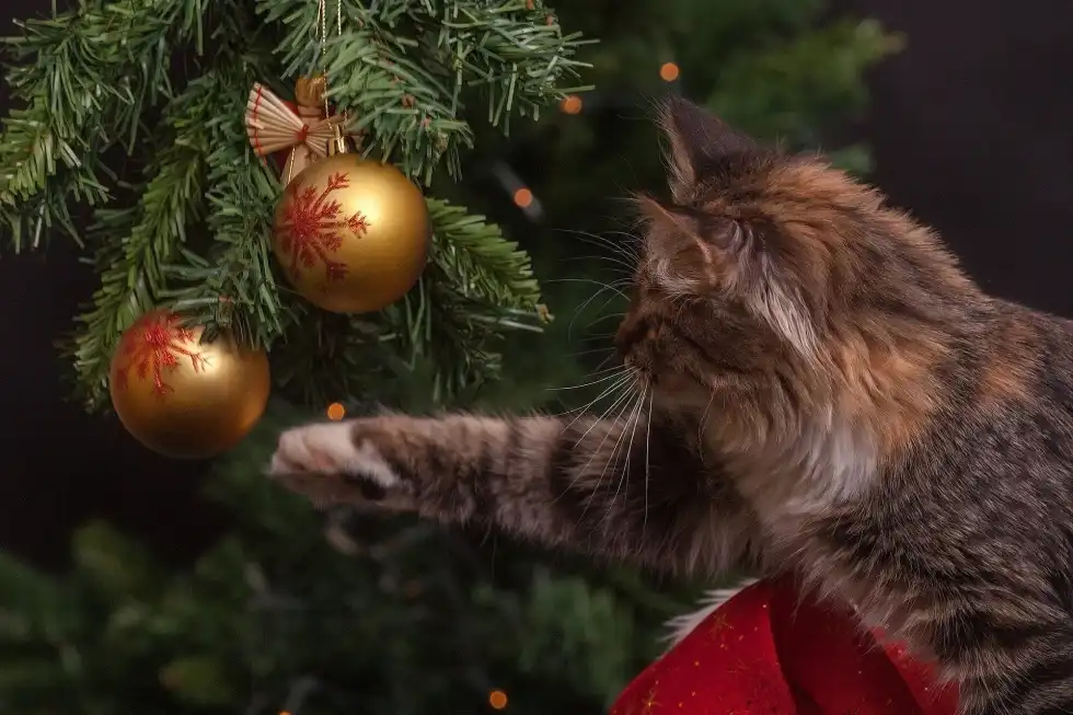 Why Do Cats Eat Plants? How To Protect Your Precious Kitty and Garden