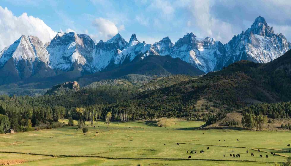 Cattle ranch below the Dallas divide mountains in Southwest Colorado.