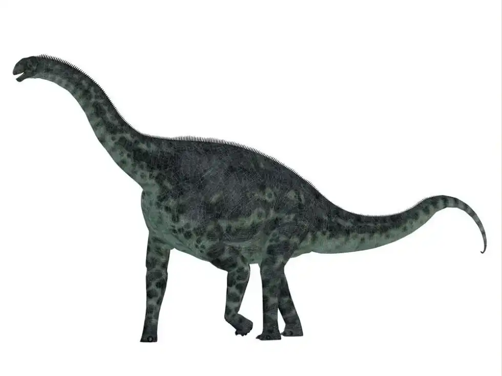 Cetiosaurus facts are great for kids.