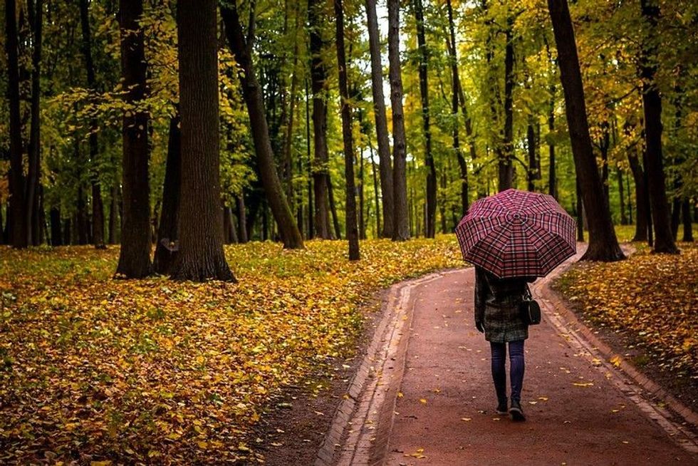 Check out some exciting Umbrellas' quotes on a big political umbrella.