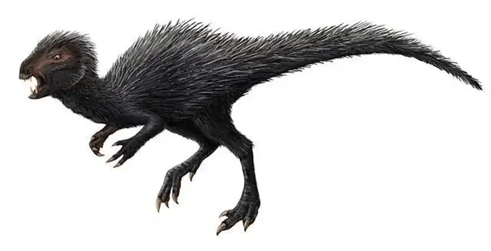 Check out these amazing Heterodontosaurus facts to know more about this tiny dinosaur!