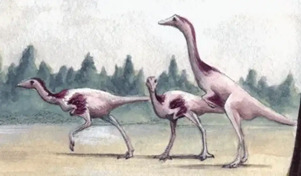 Check out these amazing Kinnareemimus facts!