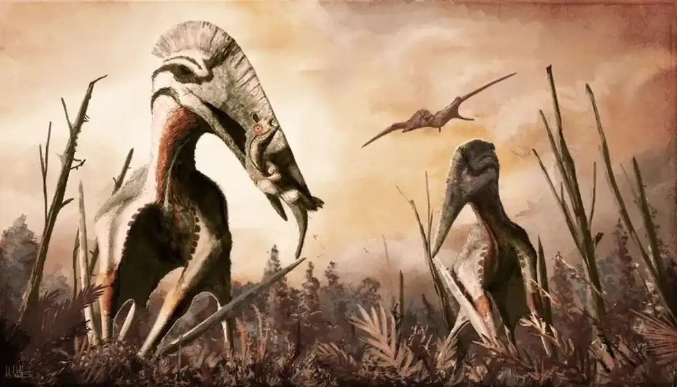 Check out these amazing Navajodactylus facts!