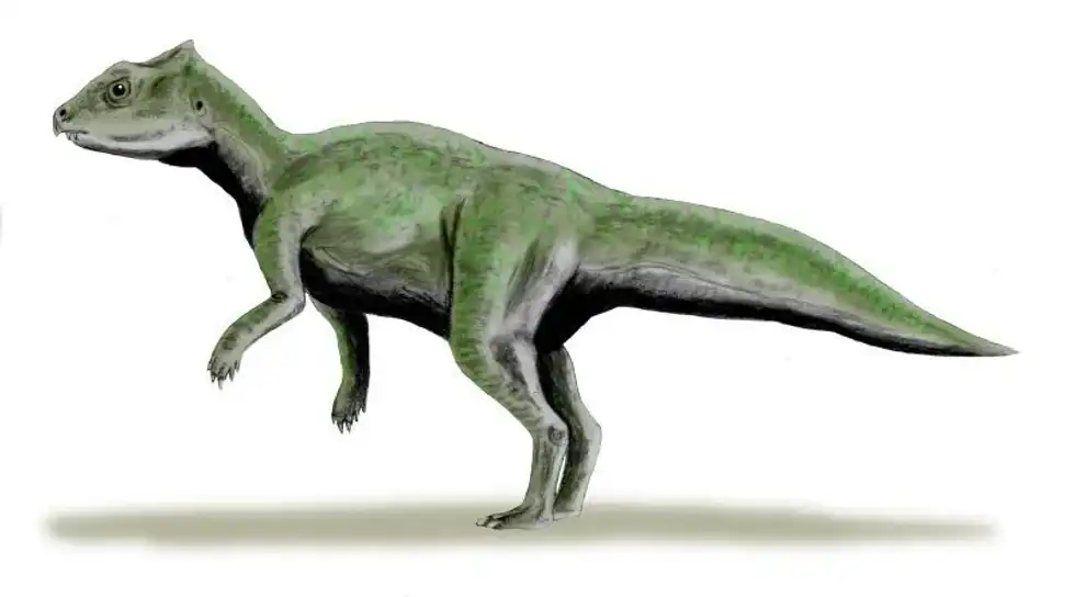 Check out these amazing Yinlong facts and get to know about this amazing dinosaur!