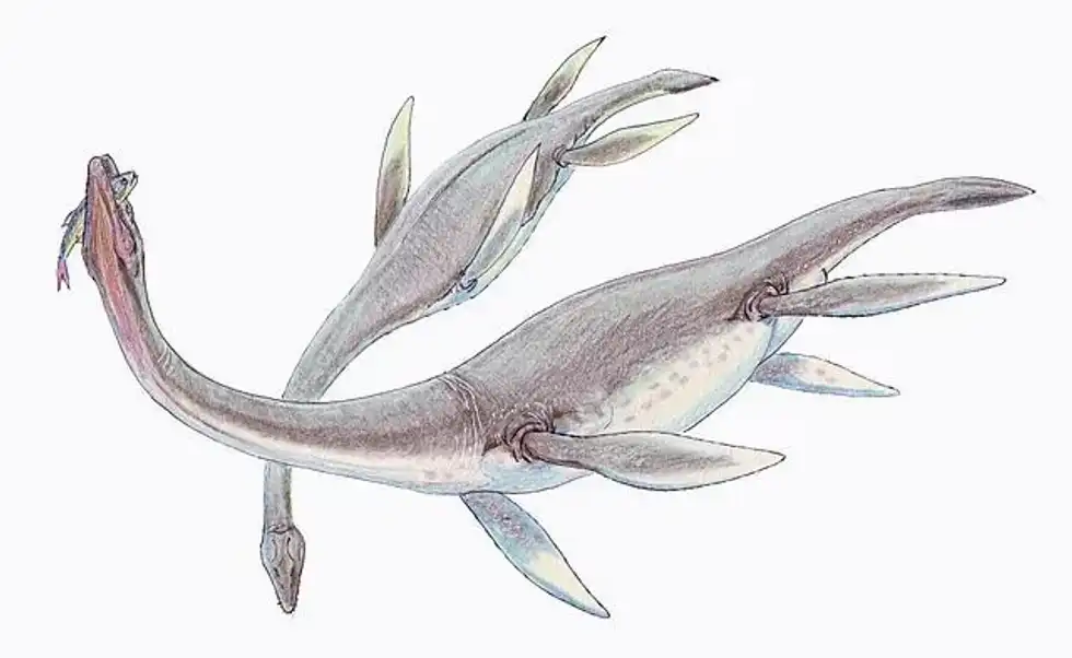 Check out these awesome Bobosaurus facts!