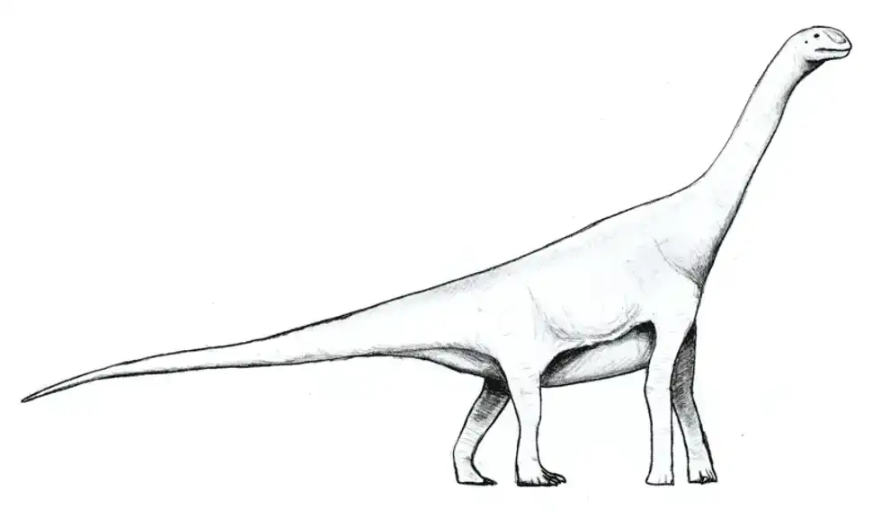 Check out these interesting Amygdalodon facts!