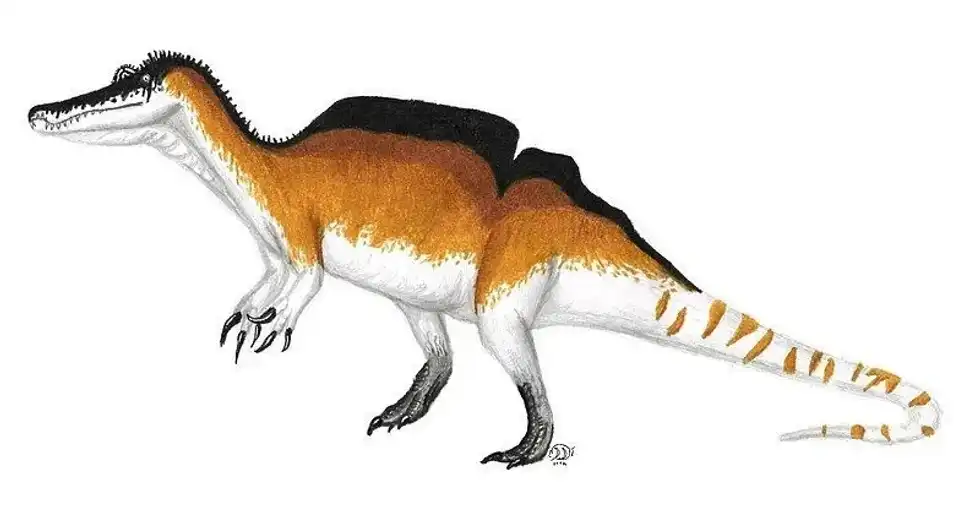 Check out these interesting Ichthyovenator facts!