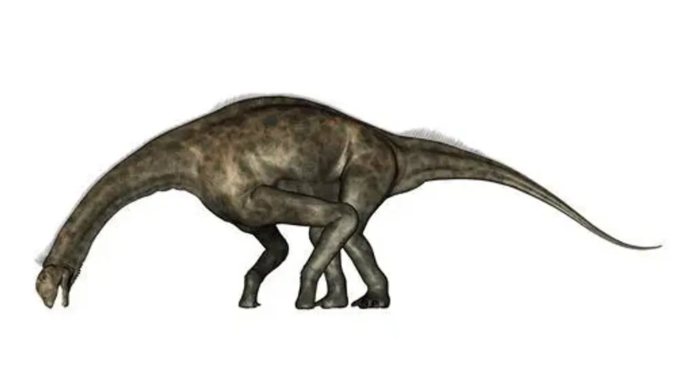 Check out these mind-blowing Atlasaurus facts.