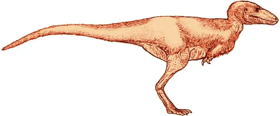 Check out these roar-some Alectrosaurus facts!