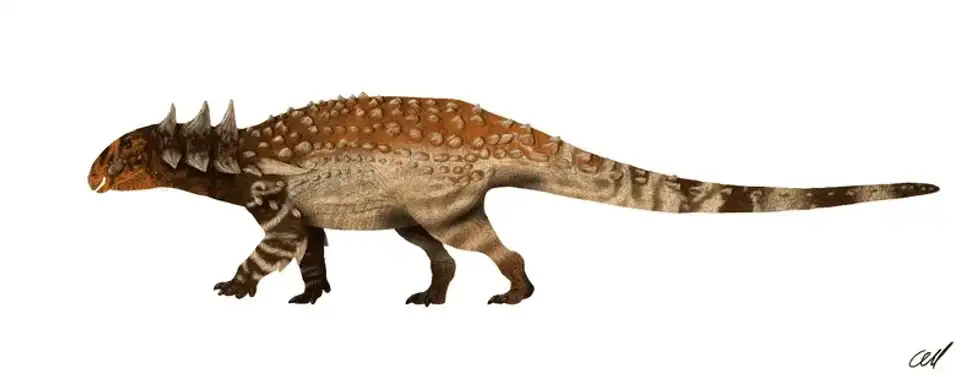 Check out these Sauropelta facts and learn more about this amazing dinosaur!