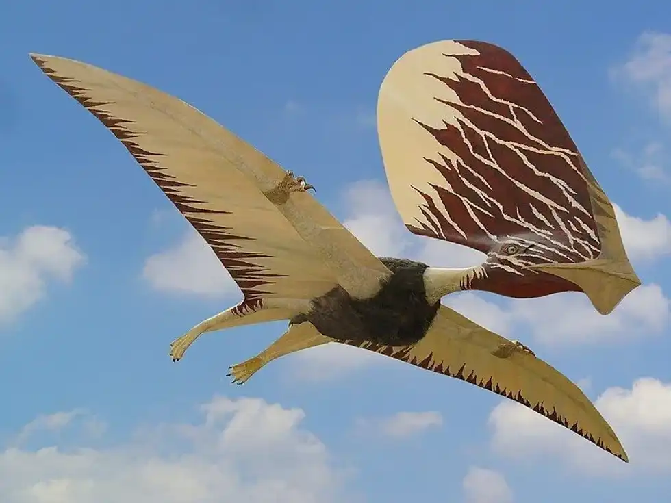 Check out these thrilling Tupandactylus facts about its time period, wingspan, classification, diet, and more!