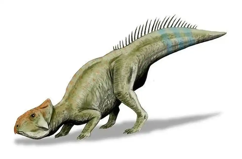 Check out these wonderful Serendipaceratops facts!