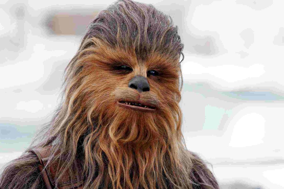Chewbacca attends the photo-call of 'Solo: A Star Wars Story'