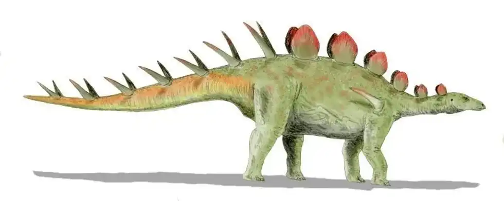 Chialingosaurus facts are great for kids.