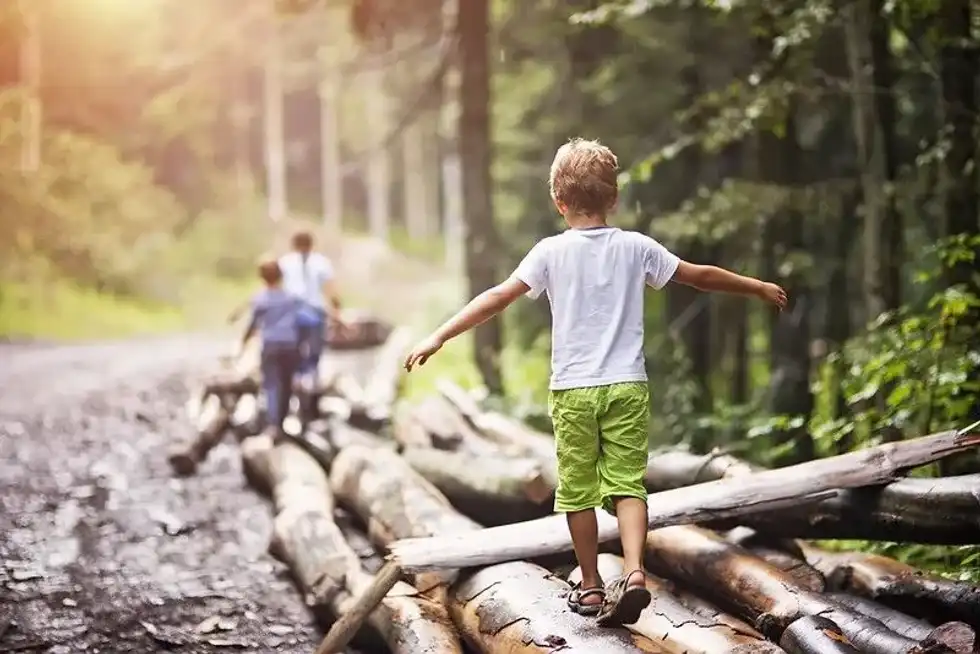 Children climbing on logs in a forest