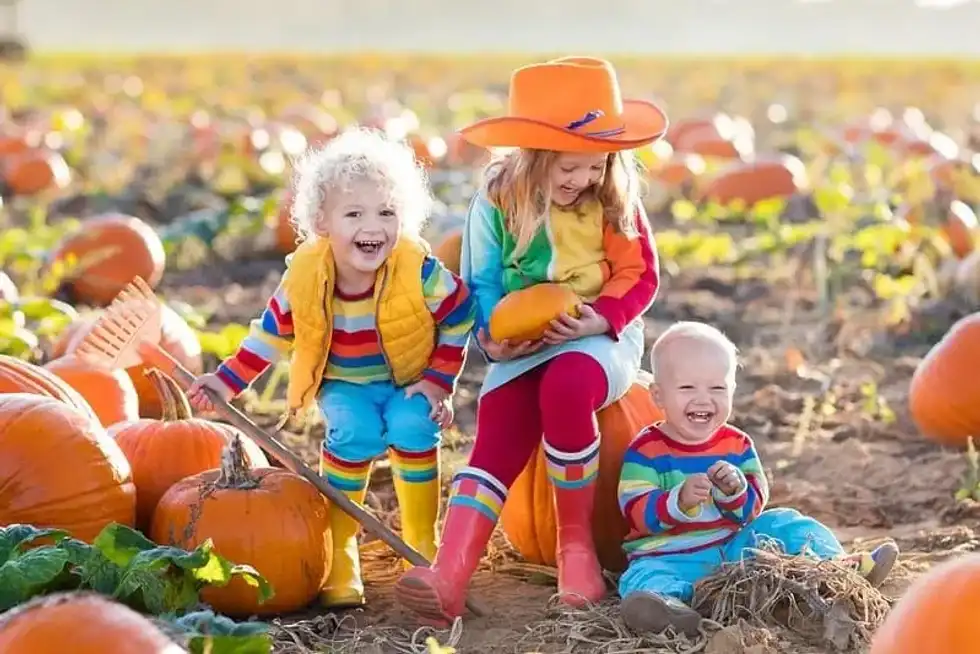 Children enjoying the pumpkin patch as one of their harvest activities and crafts.