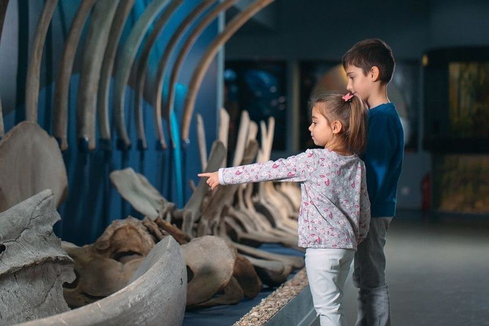 Children looking at the skeleton of an ancient whale in the Museum of paleontology