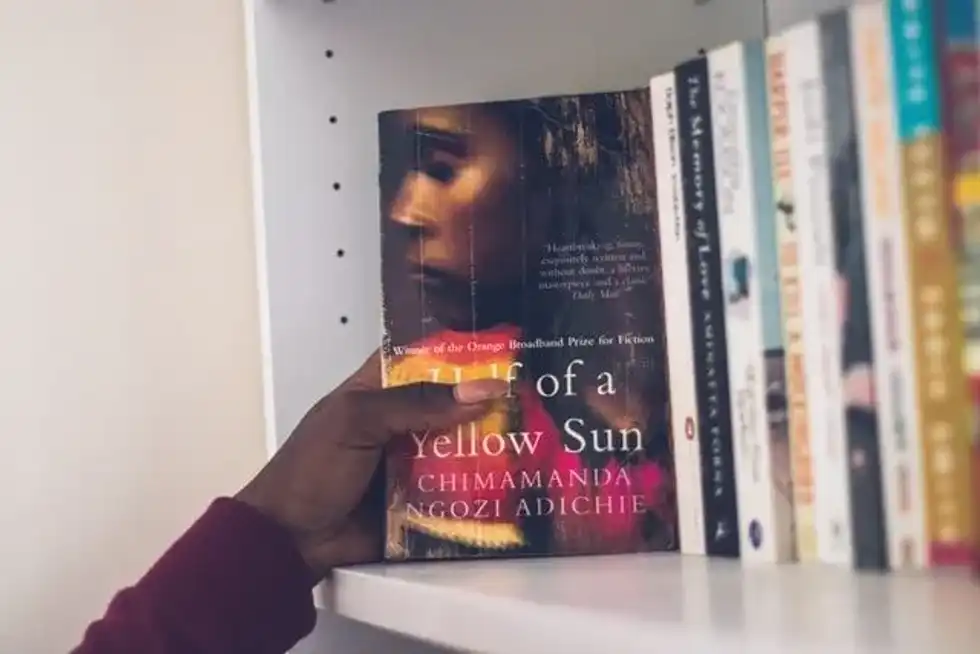 Chimamanda Adichie is a Nigerian writer and feminist powerhouse!