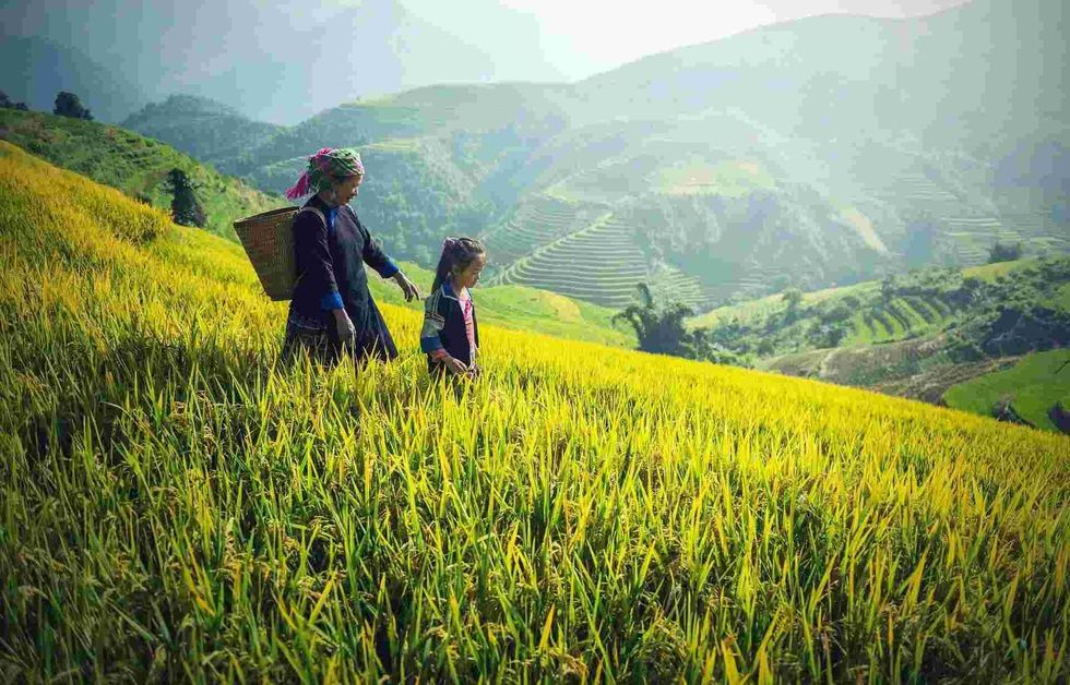 China has a strong agricultural background