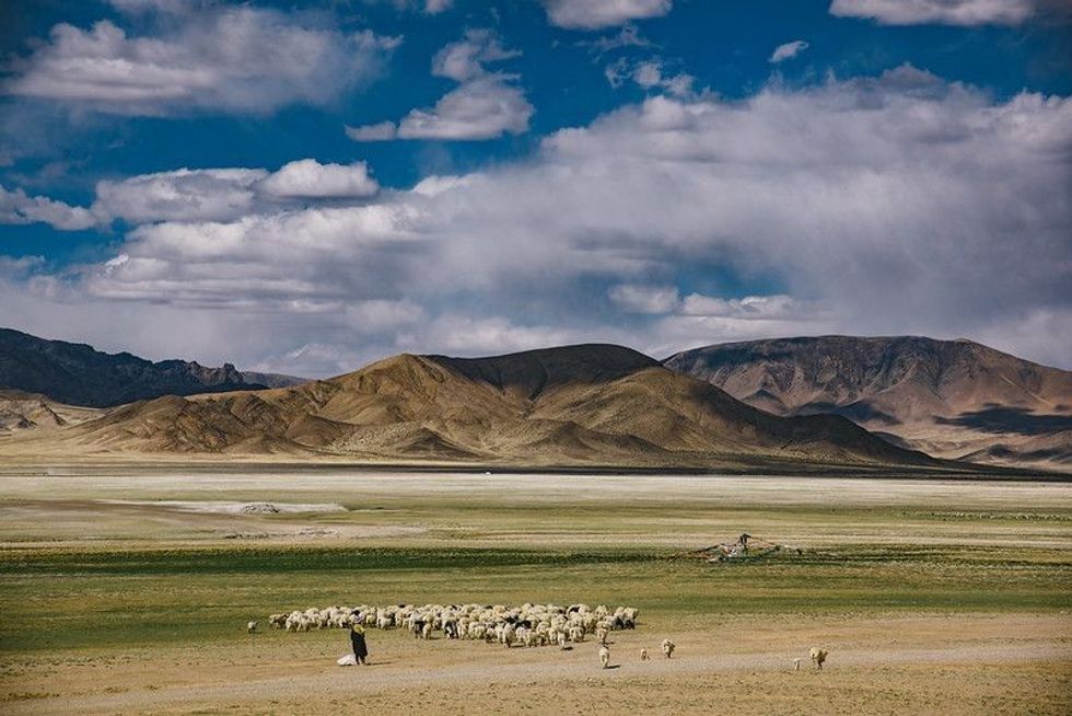 China Tibet Plateau sky and grassland scenery