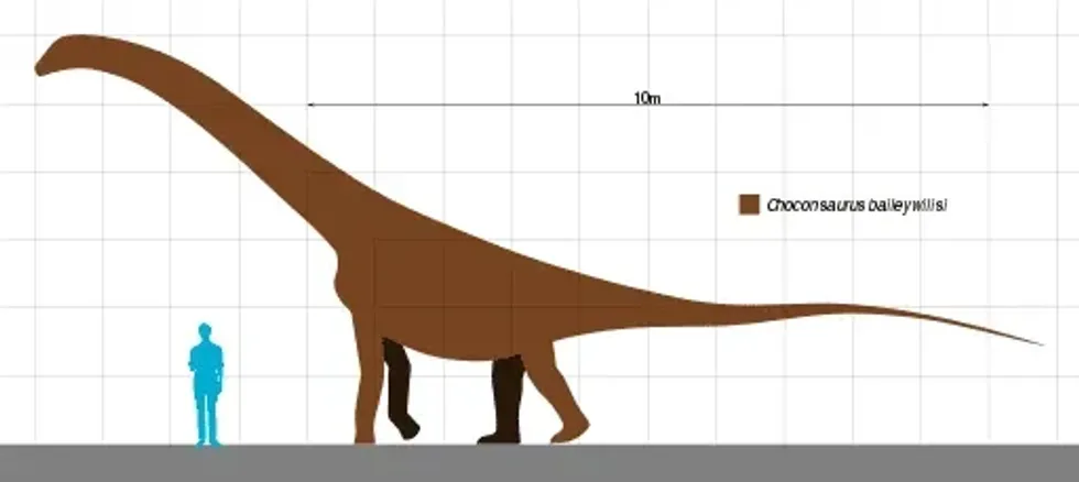 Choconsaurus facts are interesting.
