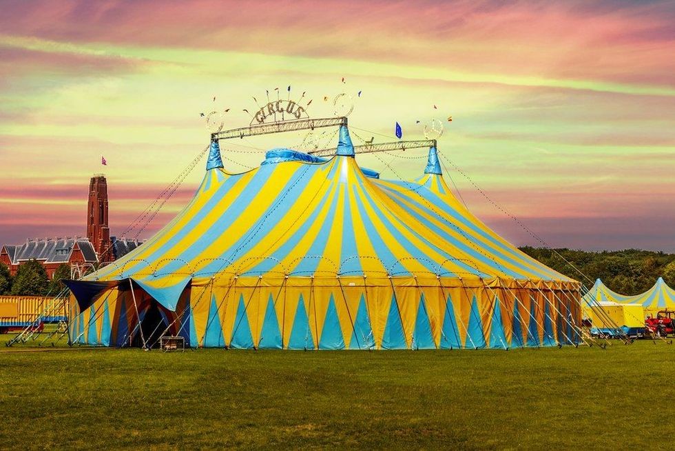 100 Greatest Circus Quotes To Entertain You Kidadl